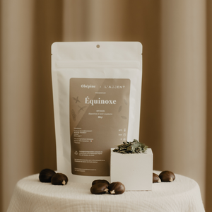 Tisane Bio équinoxe - la recharge